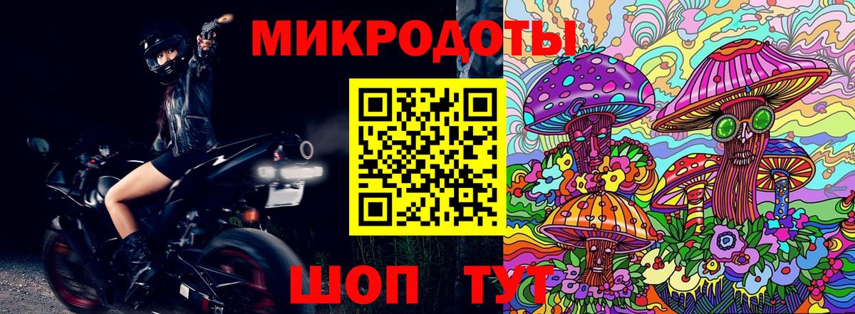 Тайшет  Псилоцибиновые грибы мухоморы  Галлюциногенные грибы мицелий  Вход с VPN 