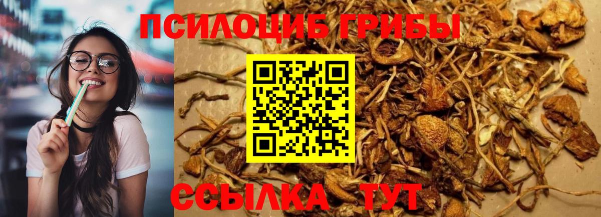 Галлюциногенные грибы GOLDEN TEACHER Тайшет